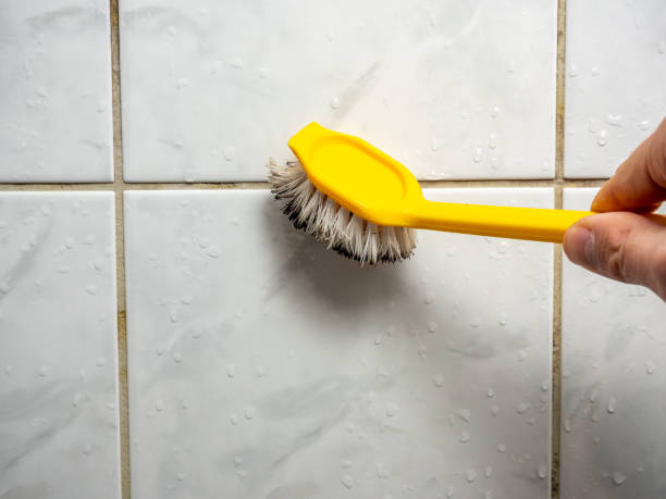 Best Mold Damage Repair  in Porcupine, SD