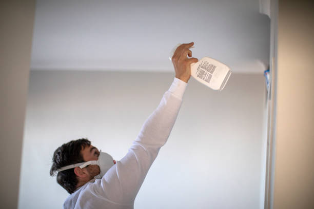 Best Mold Cleaning Services  in Porcupine, SD