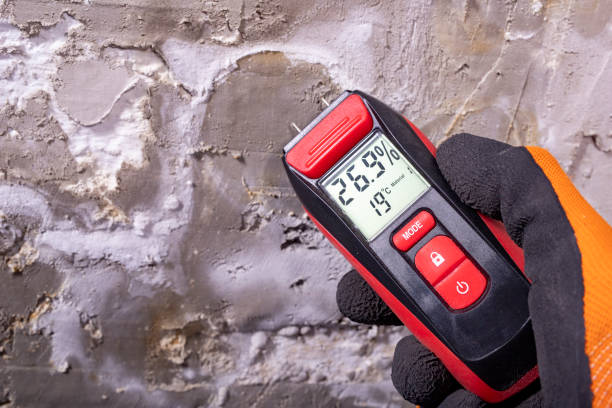 Best Mold Removal Process  in Porcupine, SD