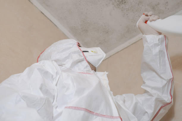 Best Toxic Mold Removal  in Porcupine, SD