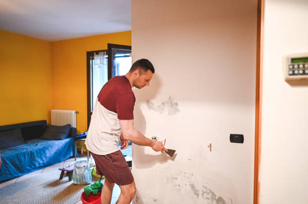  Porcupine, SD Mold Removal Pros