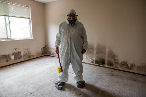 Professional Mold Removal in Porcupine, SD